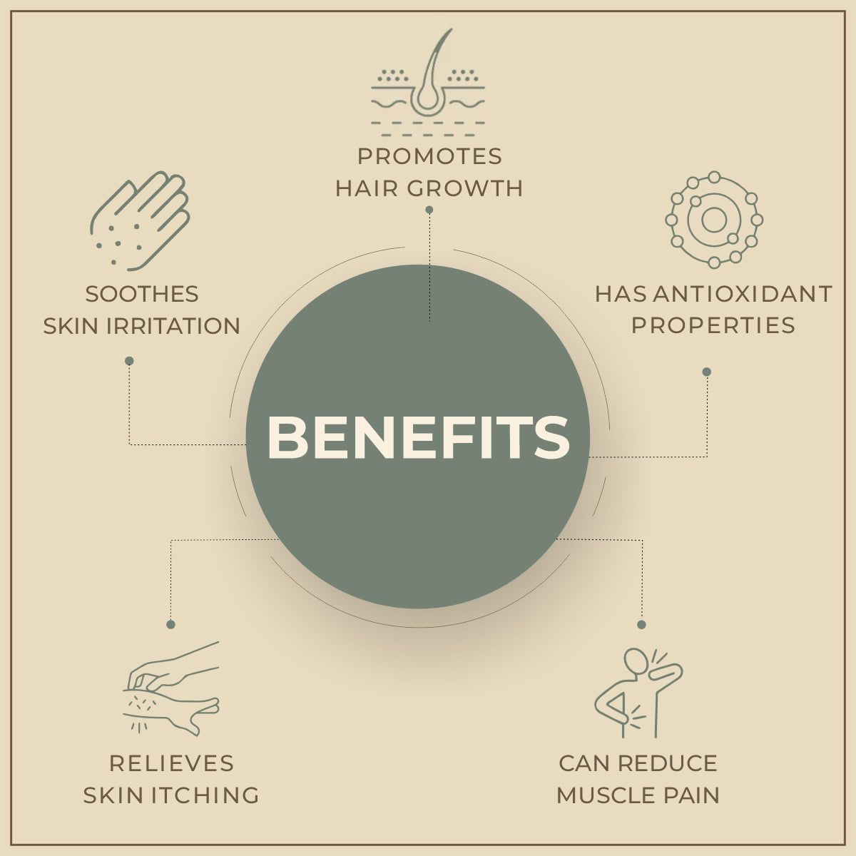 Salvia Natural Essential Oils Oregano Essential Oil Salvia Natural Essential Oils Oregano Essential Oil